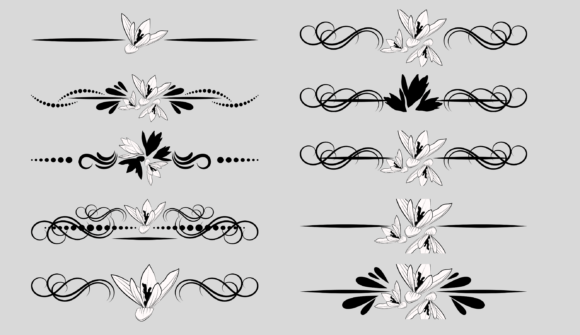 Border Crocuses Graphics for Branding